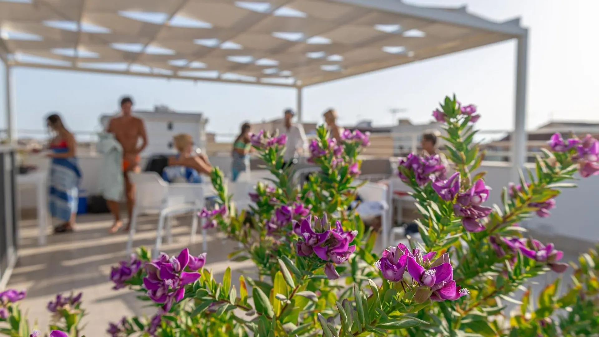 Skyfive Water Apartment Alghero Italie
